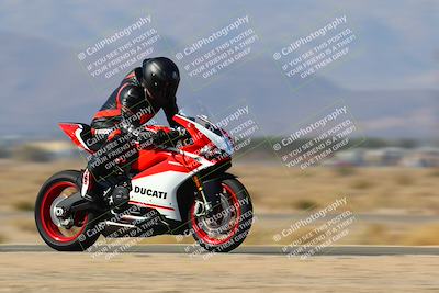 media/Jan-14-2024-SoCal Trackdays (Sun) [[2e55ec21a6]]/Back Straight Speed Pans (1145am)/